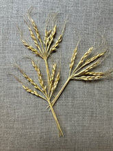 Load image into Gallery viewer, Vintage Hand Made Paper Wheat