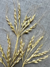 Load image into Gallery viewer, Vintage Hand Made Paper Wheat