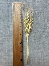 Load image into Gallery viewer, Vintage Hand Made Paper Wheat