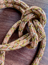 Load image into Gallery viewer, Antique French Silk Passementerie Roping