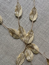 Load image into Gallery viewer, Antique Woven Leaves Two Different Choices
