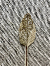 Load image into Gallery viewer, Antique Woven Leaves Two Different Choices