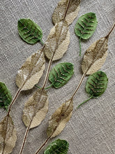 Load image into Gallery viewer, Antique Woven Leaves Two Different Choices