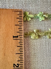 Load image into Gallery viewer, Antique French Green Rococo Trim Two Different