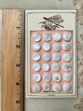 Load image into Gallery viewer, Mother of Pearl Antique Buttons on French Card