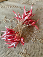 Load image into Gallery viewer, French Antique Millinery Buds and Stamen