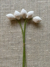 Load image into Gallery viewer, Vintage Spun Cotton Buds For Ribbon Work