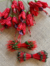 Load image into Gallery viewer, Vintage Fuchsia Stamens