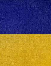 Load image into Gallery viewer, Antique Silk and Cotton Ribbon