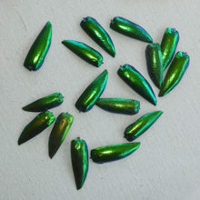 Load image into Gallery viewer, Beetle Wings for Embroidery