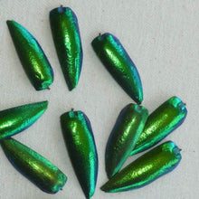 Load image into Gallery viewer, Beetle Wings for Embroidery