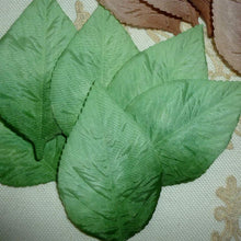 Load image into Gallery viewer, Vintage Mid Century Pressed Ombre Leaves