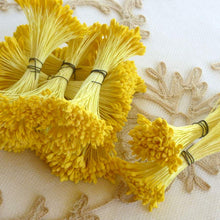 Load image into Gallery viewer, Classic VINTAGE German made stamens