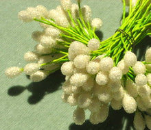 Load image into Gallery viewer, Circa 1950 Glass Stamen Buds
