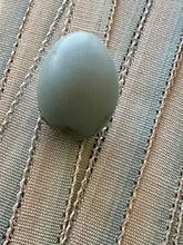 Load image into Gallery viewer, French Picot Ombre Antique Ribbon  Robins Egg Blue