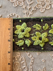 Antique Embroidered Lime Green Trim