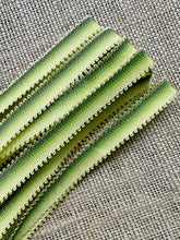Load image into Gallery viewer, Picot Ombre Ribbon for Ribbon Work and Embroidery