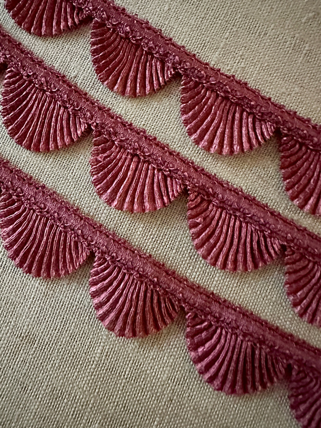 Scalloped Border Trim in Two Colors #2