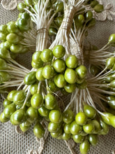 Load image into Gallery viewer, Vintage Bunches of Large Pearl Tipped Buds