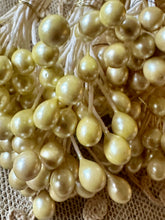 Load image into Gallery viewer, Vintage Bunches of Large Pearl Tipped Buds