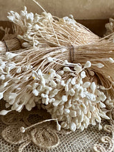 Load image into Gallery viewer, Antique Bunches of White Stamens