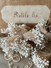 Load image into Gallery viewer, Antique Bunches of White Stamens