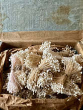 Load image into Gallery viewer, Antique Bunches of White Stamens