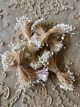 Load image into Gallery viewer, Antique Bunches of White Stamens