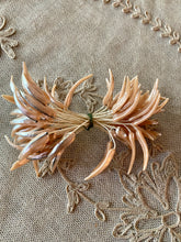Load image into Gallery viewer, French Antique Millinery Buds and Stamen