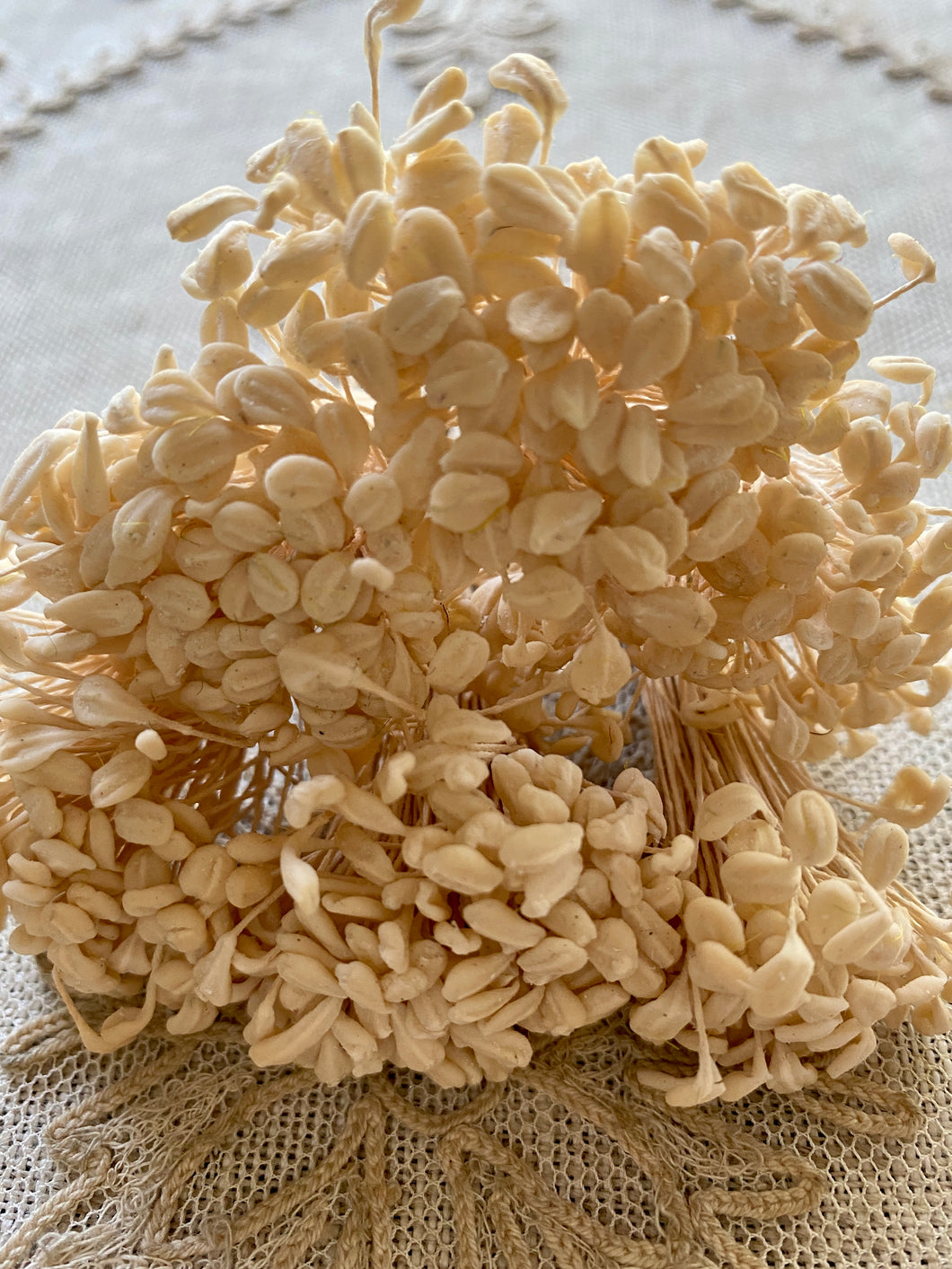 Original Large Bunches of Vintage Stamens
