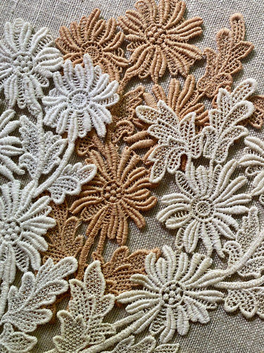 Pair of Schiffli Lace Floral Applique