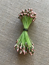 Load image into Gallery viewer, Vintage Classic Stamen Buds Pink or Blue