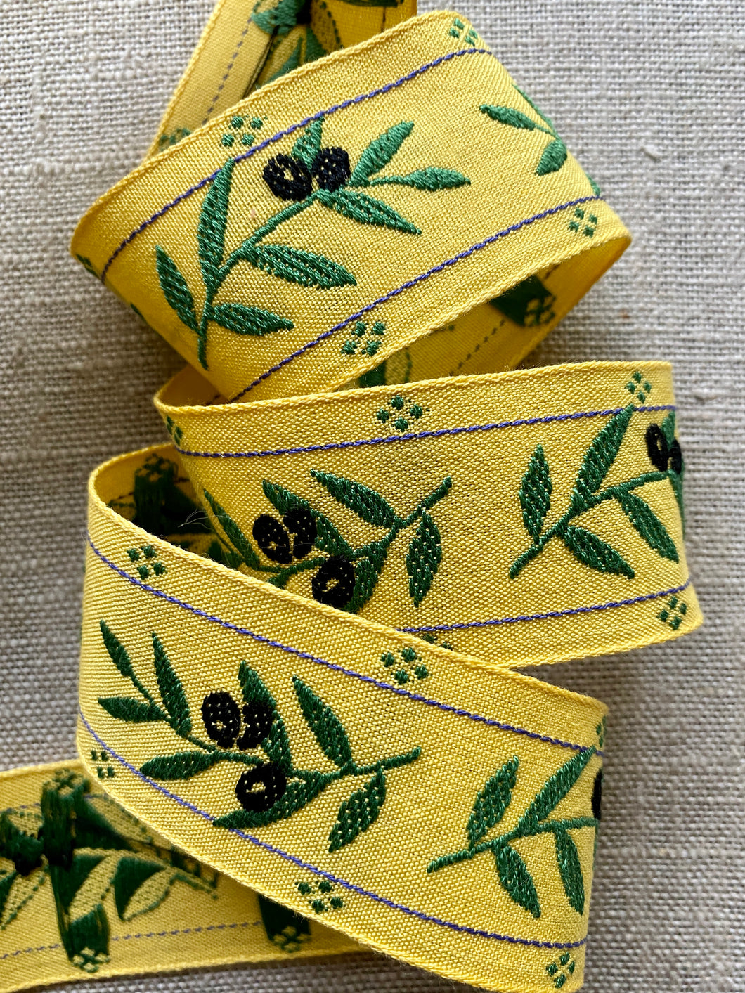 French Vintage Ribbon with Olive Branch Motif