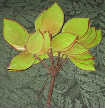 Load image into Gallery viewer, Vintage English Rose Leaves